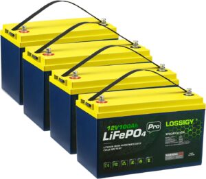 12. LOSSIGY 12V 100Ah Lifepo4 Lithium Golf Cart Battery