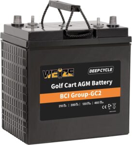 13. Weize 6V Golf Cart Battery