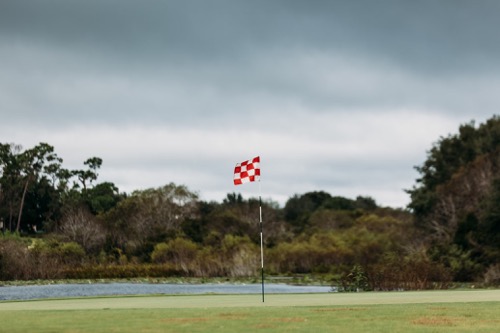 Understanding Standard Golf Grips