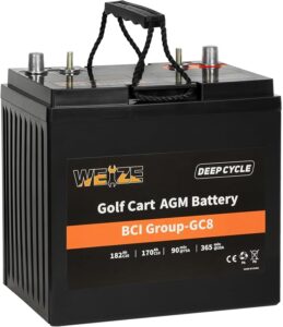 2. Weize 8V Deep Cycle AGM Golf Cart Battery