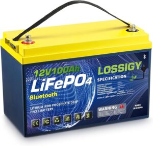 5. LOSSIGY 12V 100AH LiFePO4 Deep Cycle Golf Cart Battery