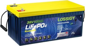 6. LOSSIGY 36V Lithium Golf Cart Battery