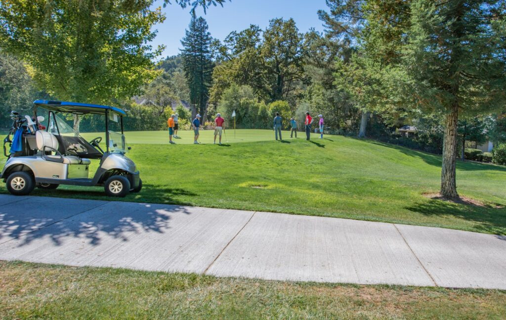 Average Weight of Common Golf Cart Models