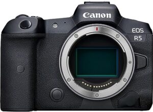 2. Canon EOS R5 Mirrorless Camera