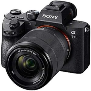 4. Sony a7 III Mirrorless Camera