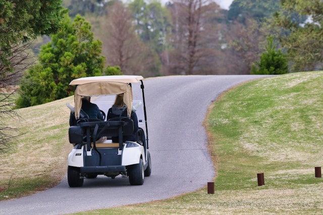 Pros and Cons of Gas-Powered Golf Carts