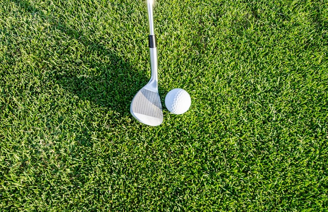 Face vs Head on a Golf Club Definition