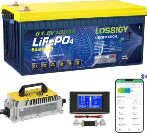 LOSSIGY 48V Lithium Golf Cart Battery